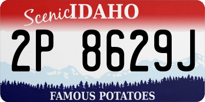ID license plate 2P8629J