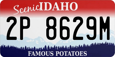 ID license plate 2P8629M