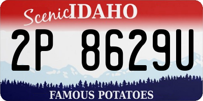 ID license plate 2P8629U