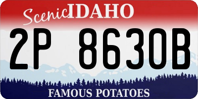 ID license plate 2P8630B