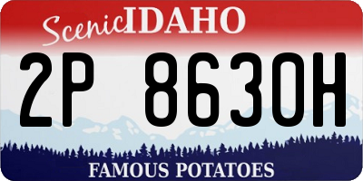 ID license plate 2P8630H
