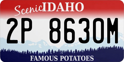 ID license plate 2P8630M