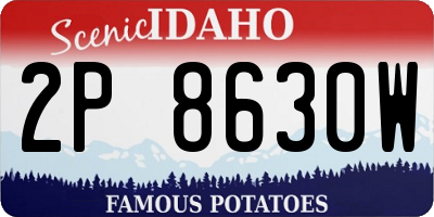 ID license plate 2P8630W