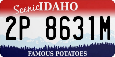 ID license plate 2P8631M