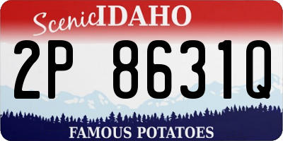 ID license plate 2P8631Q