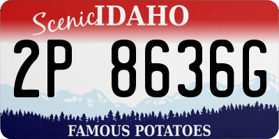 ID license plate 2P8636G