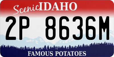 ID license plate 2P8636M