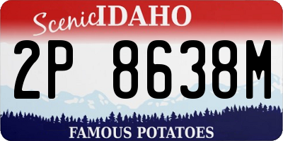 ID license plate 2P8638M