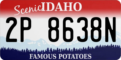 ID license plate 2P8638N