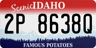 ID license plate 2P8638Q