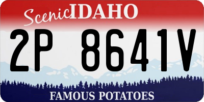 ID license plate 2P8641V