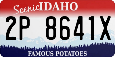 ID license plate 2P8641X