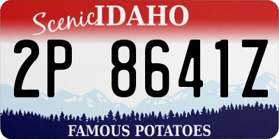 ID license plate 2P8641Z