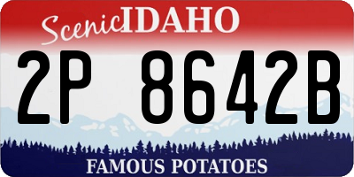 ID license plate 2P8642B