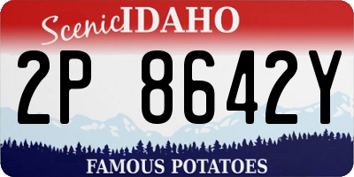 ID license plate 2P8642Y