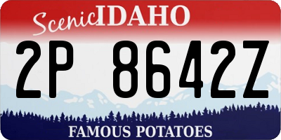 ID license plate 2P8642Z
