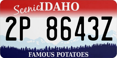 ID license plate 2P8643Z