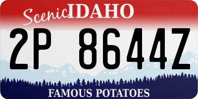 ID license plate 2P8644Z