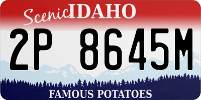 ID license plate 2P8645M