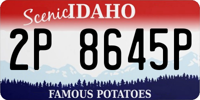 ID license plate 2P8645P