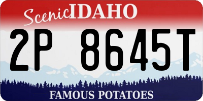 ID license plate 2P8645T