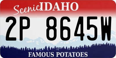ID license plate 2P8645W