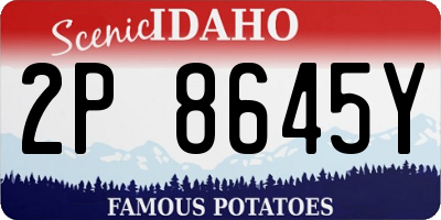 ID license plate 2P8645Y