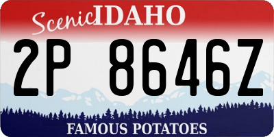ID license plate 2P8646Z