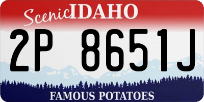 ID license plate 2P8651J