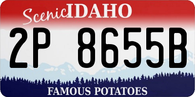 ID license plate 2P8655B