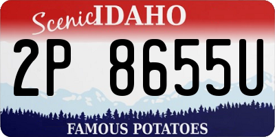 ID license plate 2P8655U