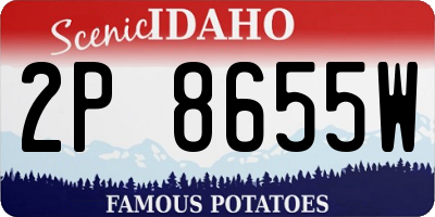 ID license plate 2P8655W