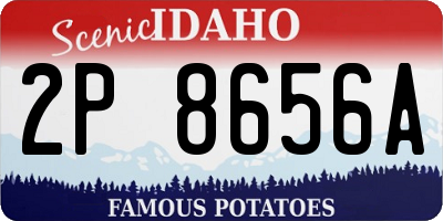 ID license plate 2P8656A