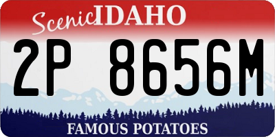 ID license plate 2P8656M