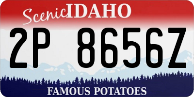 ID license plate 2P8656Z