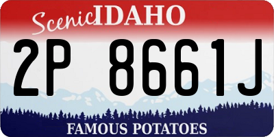 ID license plate 2P8661J