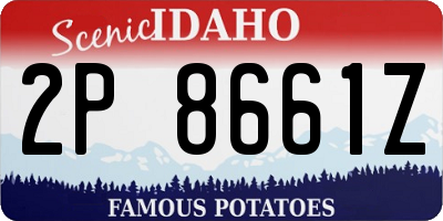 ID license plate 2P8661Z