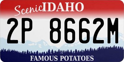 ID license plate 2P8662M