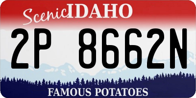 ID license plate 2P8662N