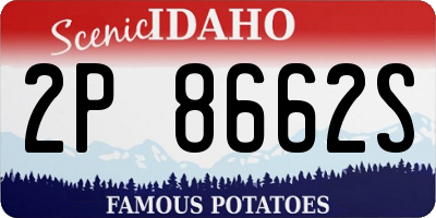 ID license plate 2P8662S