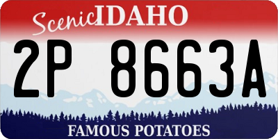 ID license plate 2P8663A