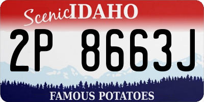 ID license plate 2P8663J