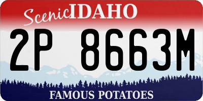 ID license plate 2P8663M