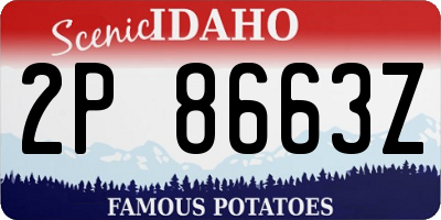 ID license plate 2P8663Z