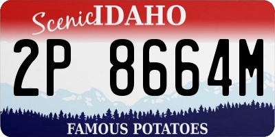 ID license plate 2P8664M