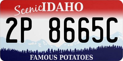 ID license plate 2P8665C