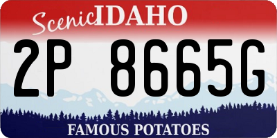 ID license plate 2P8665G