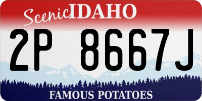 ID license plate 2P8667J