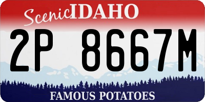 ID license plate 2P8667M
