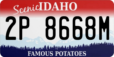 ID license plate 2P8668M